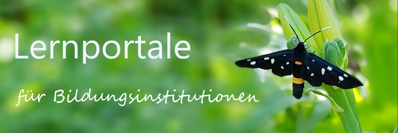 Lernportale für Bildungsinstitutionen